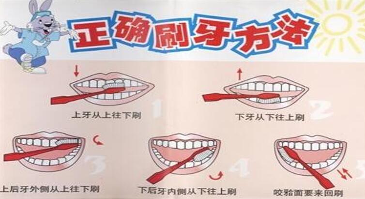 爱牙护牙,从小做起